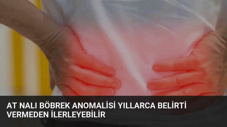 At Nalı Böbrek Anomalisi Yıllarca Belirti Vermeden İlerleyebilir