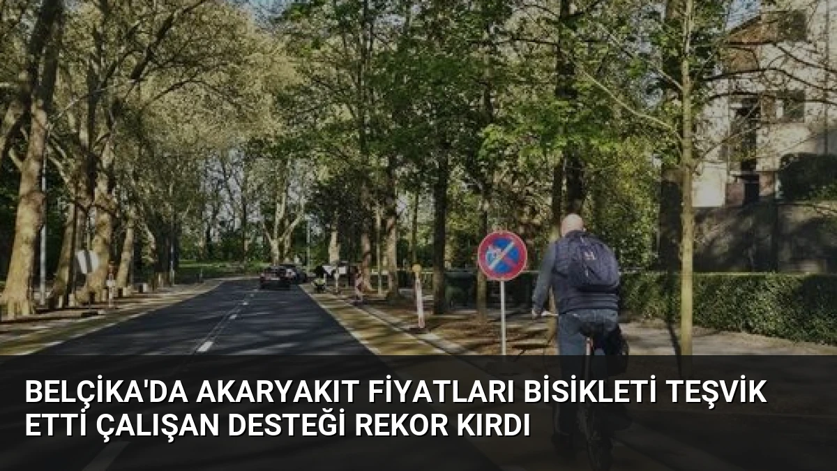 Belçika’da Akaryakıt Fiyatları Bisikleti Teşvik Etti Çalışan Desteği Rekor Kırdı