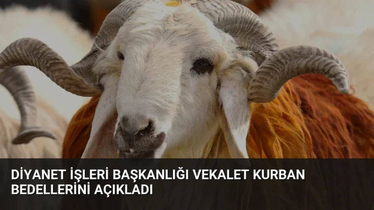 Diyanet İşleri Başkanlığı Vekalet Kurban Bedellerini Açıkladı