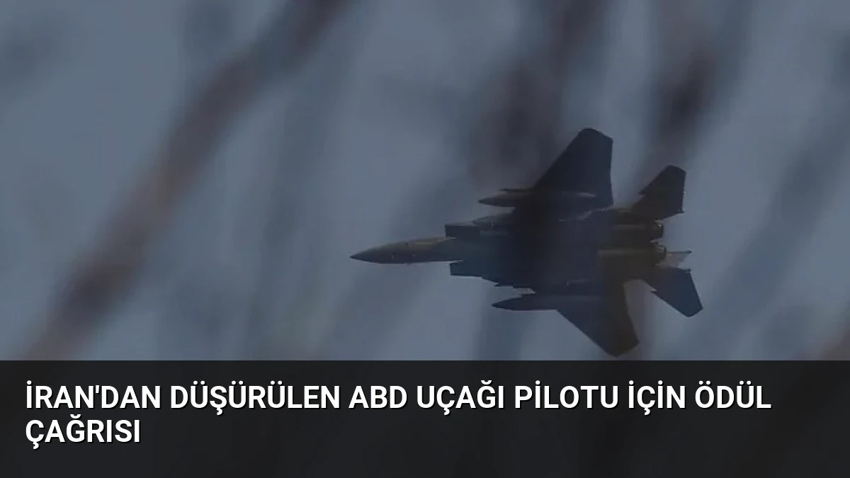 İran’dan Düşürülen ABD Uçağı Pilotu İçin Ödül Çağrısı