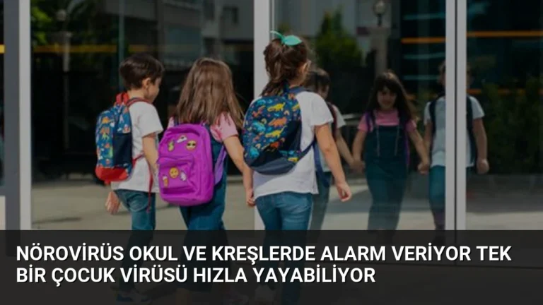 Nörovirüs Okul ve Kreşlerde Alarm Veriyor Tek Bir Çocuk Virüsü Hızla Yayabiliyor