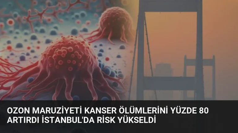 Ozon Maruziyeti Kanser Ölümlerini Yüzde 80 Artırdı İstanbul’da Risk Yükseldi