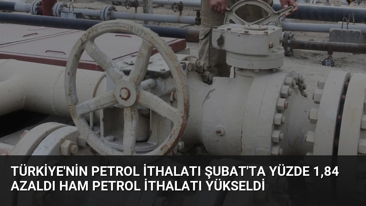 Türkiye’nin Petrol İthalatı Şubat’ta Yüzde 1,84 Azaldı Ham Petrol İthalatı Yükseldi
