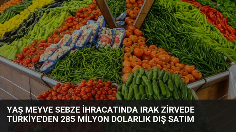 Yaş Meyve Sebze İhracatında Irak Zirvede Türkiye’den 285 Milyon Dolarlık Dış Satım