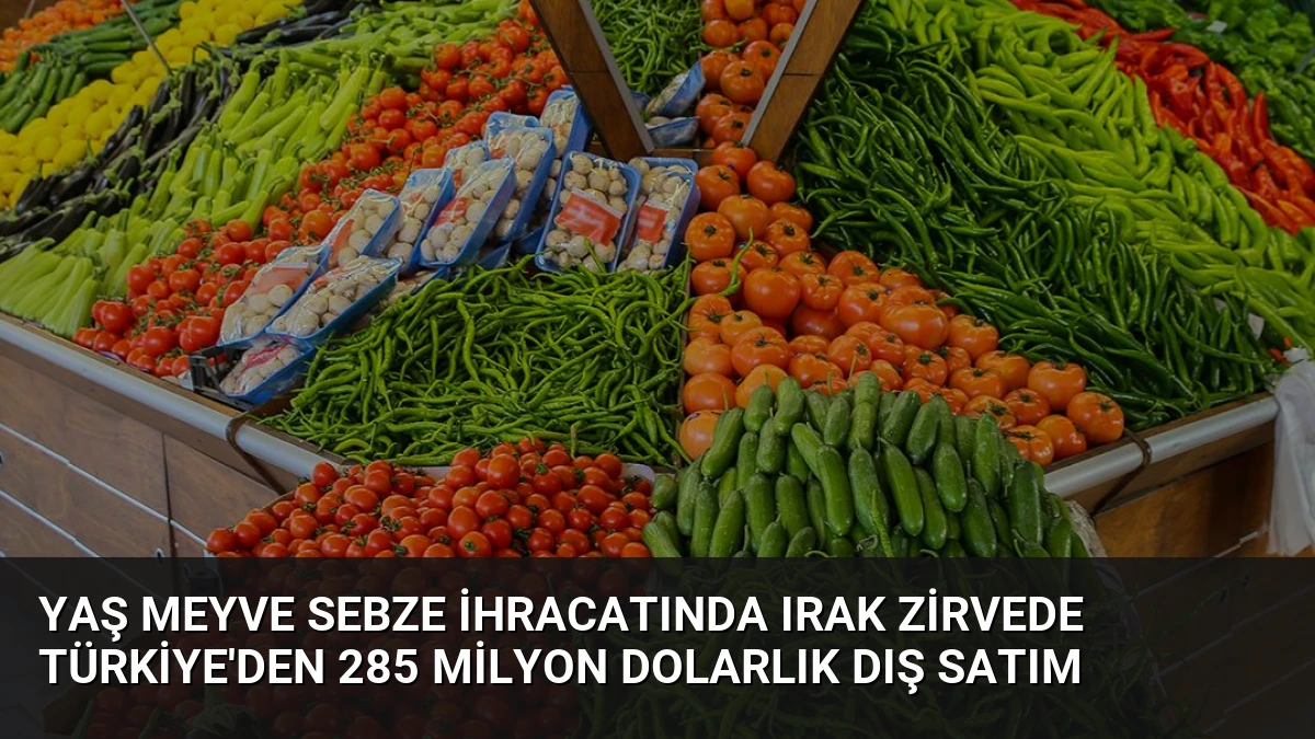 Yaş Meyve Sebze İhracatında Irak Zirvede Türkiye’den 285 Milyon Dolarlık Dış Satım