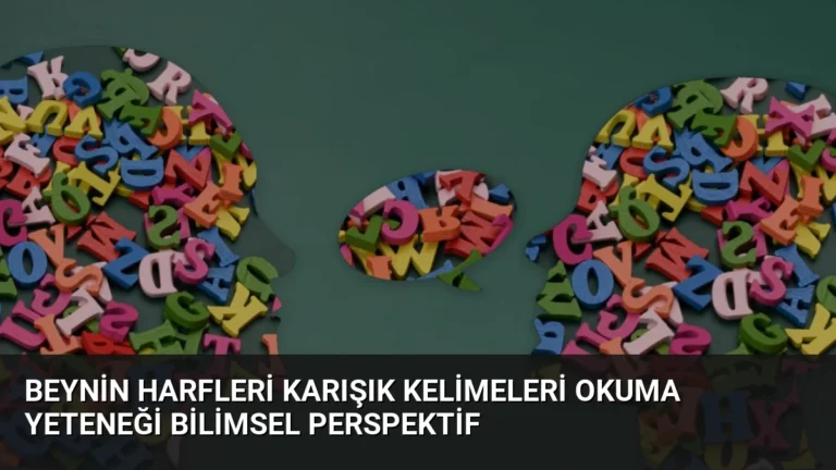 Beynin Harfleri Karışık Kelimeleri Okuma Yeteneği Bilimsel Perspektif