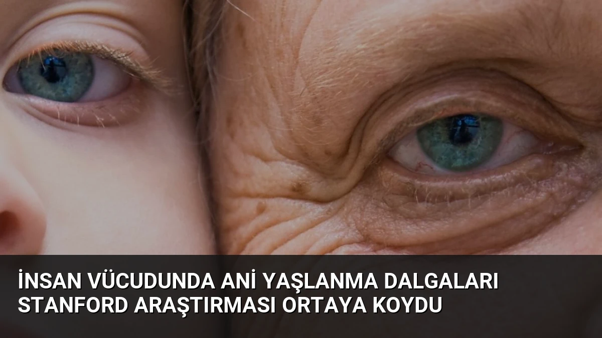 İnsan Vücudunda Ani Yaşlanma Dalgaları Stanford Araştırması Ortaya Koydu