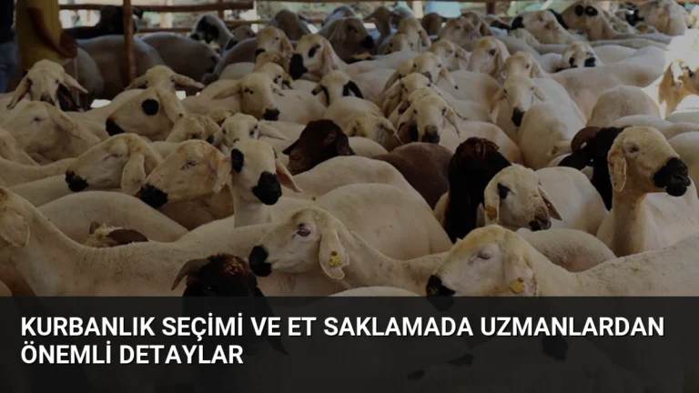 Kurbanlık Seçimi ve Et Saklamada Uzmanlardan Önemli Detaylar