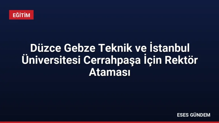 Düzce Gebze Teknik ve İstanbul Üniversitesi Cerrahpaşa İçin Rektör Ataması