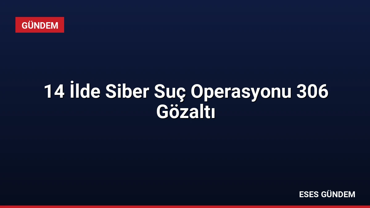 14 İlde Siber Suç Operasyonu 306 Gözaltı