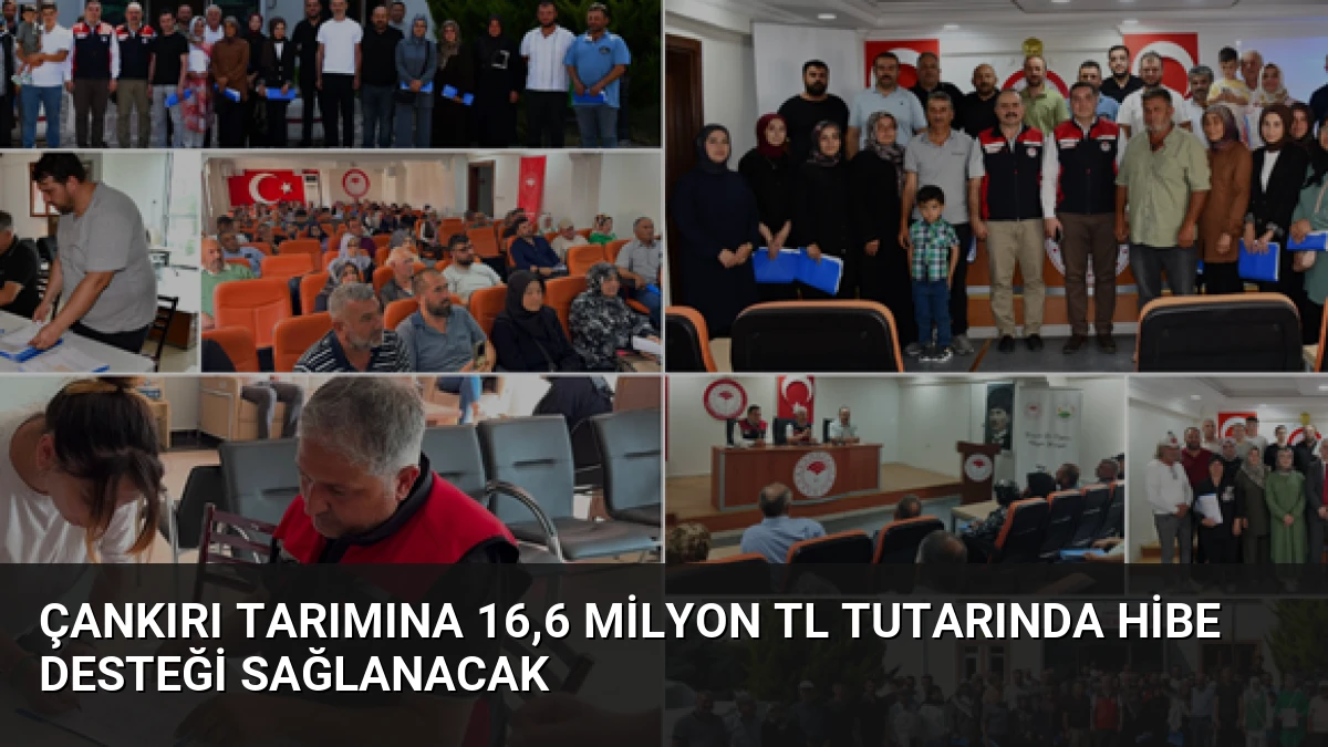 Çankırı Tarımına 16,6 Milyon TL Tutarında Hibe Desteği Sağlanacak