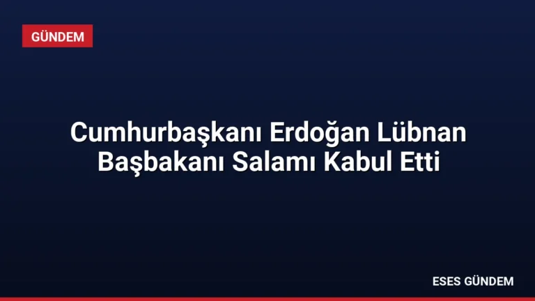 Cumhurbaşkanı Erdoğan Lübnan Başbakanı Salamı Kabul Etti