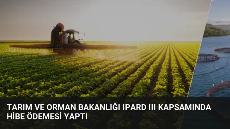 Tarım ve Orman Bakanlığı IPARD III Kapsamında Hibe Ödemesi Yaptı