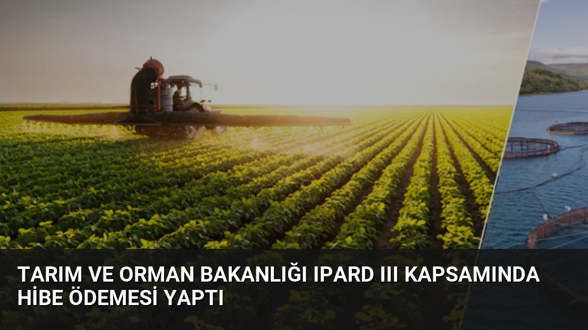 Tarım ve Orman Bakanlığı IPARD III Kapsamında Hibe Ödemesi Yaptı