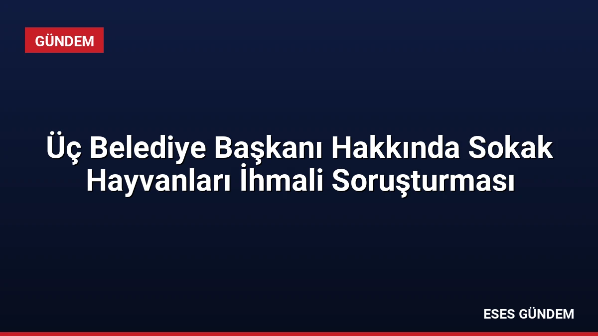 Üç Belediye Başkanı Hakkında Sokak Hayvanları İhmali Soruşturması
