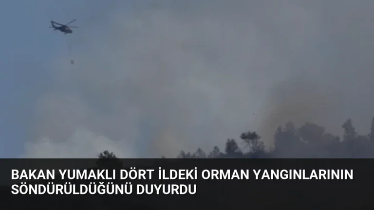 Bakan Yumaklı dört ildeki orman yangınlarının söndürüldüğünü duyurdu