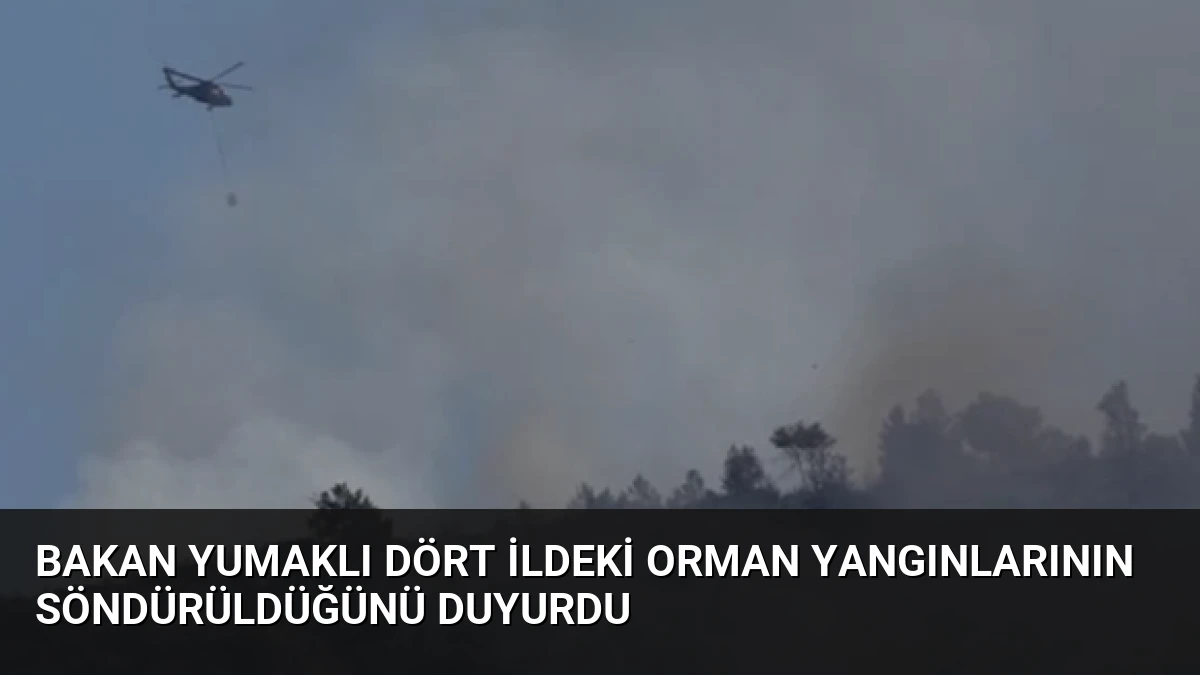 Bakan Yumaklı dört ildeki orman yangınlarının söndürüldüğünü duyurdu
