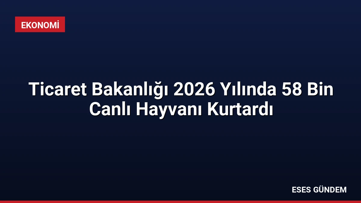 Ticaret Bakanlığı 2026 Yılında 58 Bin Canlı Hayvanı Kurtardı