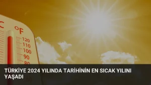 Türkiye 2024 yılında tarihinin en sıcak yılını yaşadı