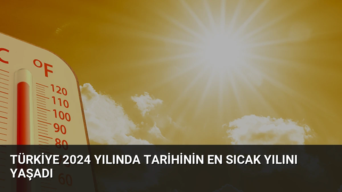Türkiye 2024 yılında tarihinin en sıcak yılını yaşadı